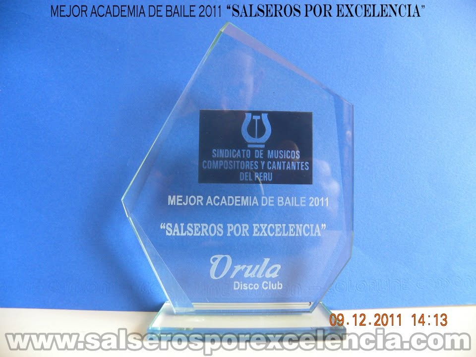 Trofeo a Mejor Academia de Baile 2011, Salseros por Excelencia